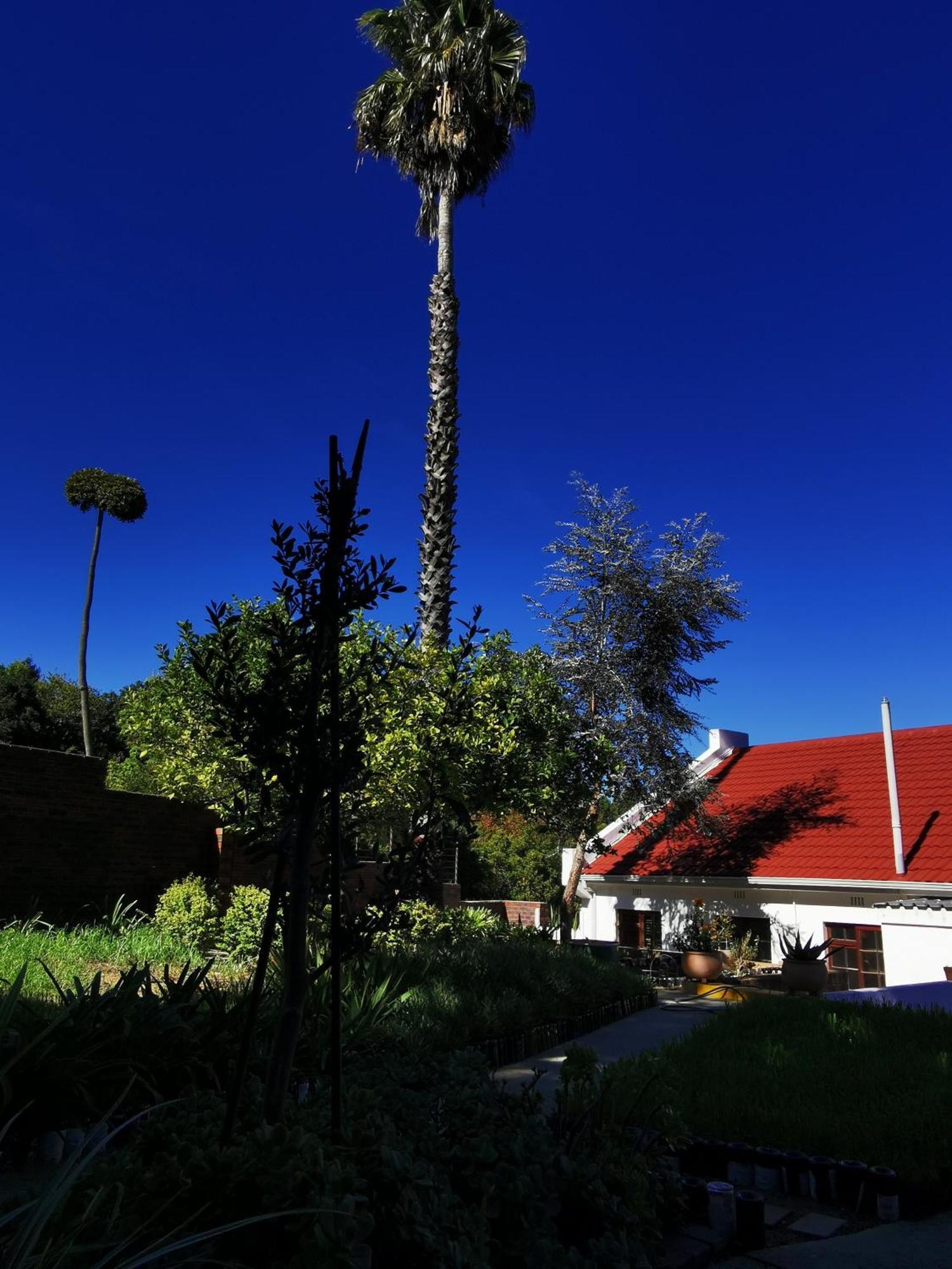 Somerset Grace Cottage Somerset West Kültér fotó